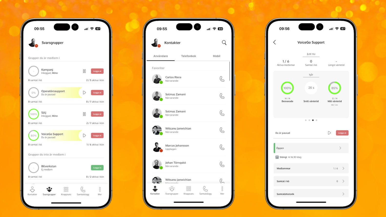 voicego_ny_release